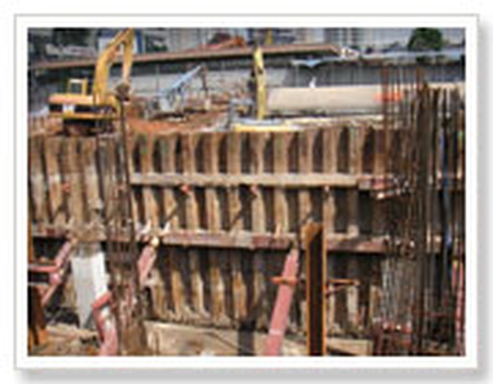 Strutting system